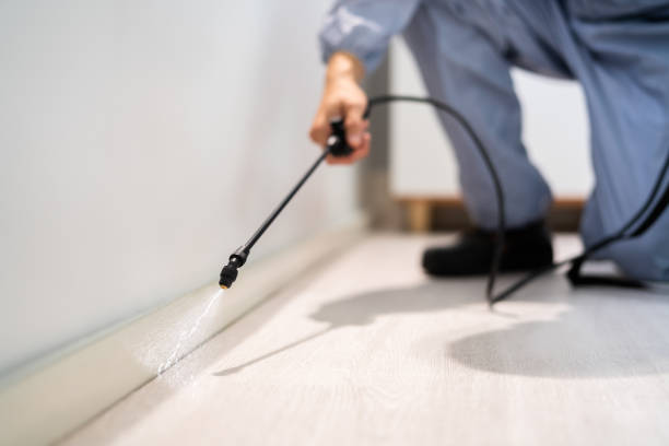 Licensed Pest Control service in Gallatin County County, IL - Nex Pest Control