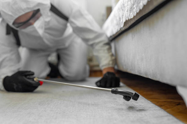 Professional Pest Control technician working in Gallatin County County, IL